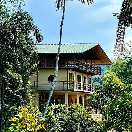 Wisdom Forest Lodge Тена Екстериор снимка
