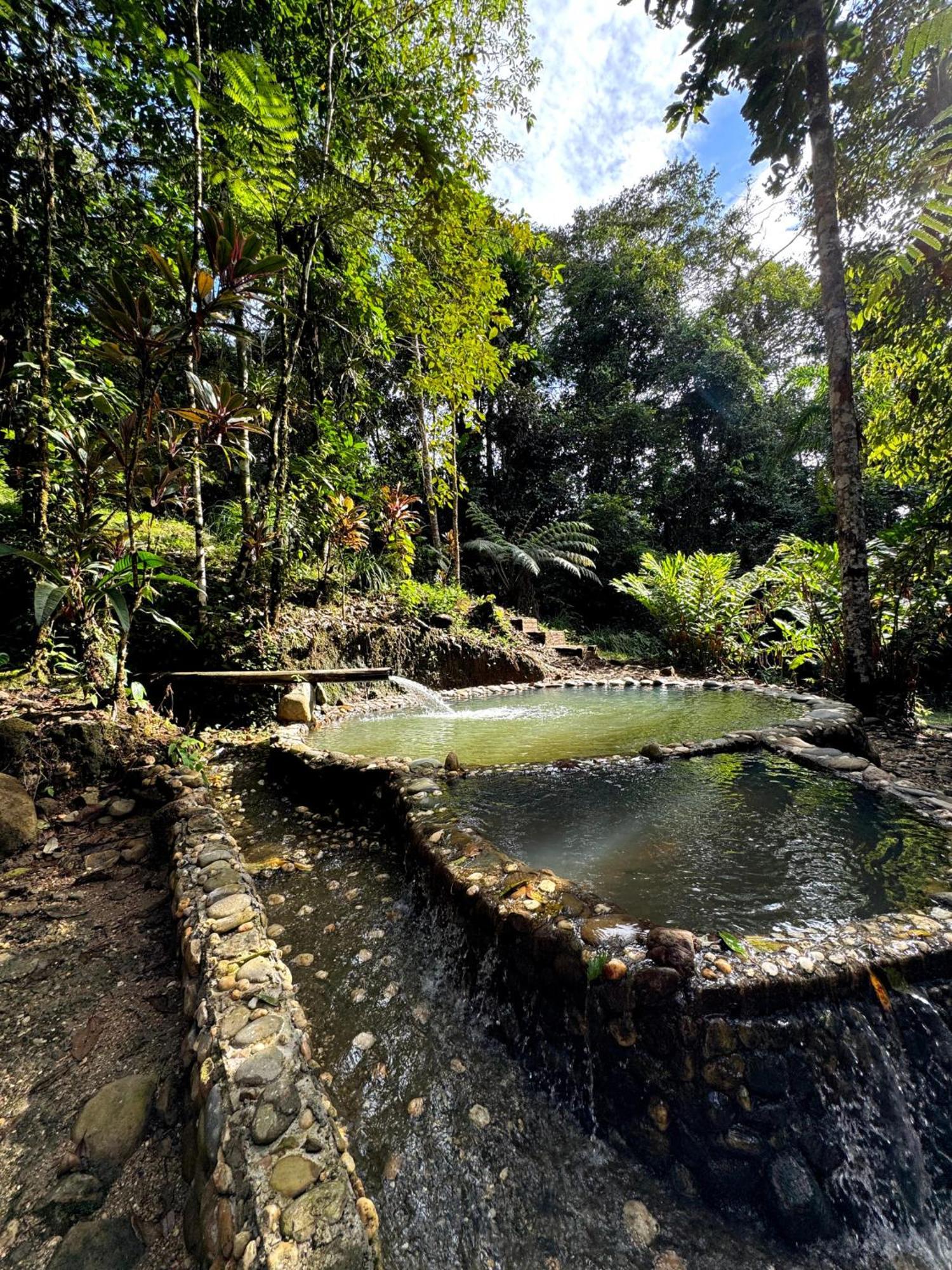 Wisdom Forest Lodge Тена Екстериор снимка