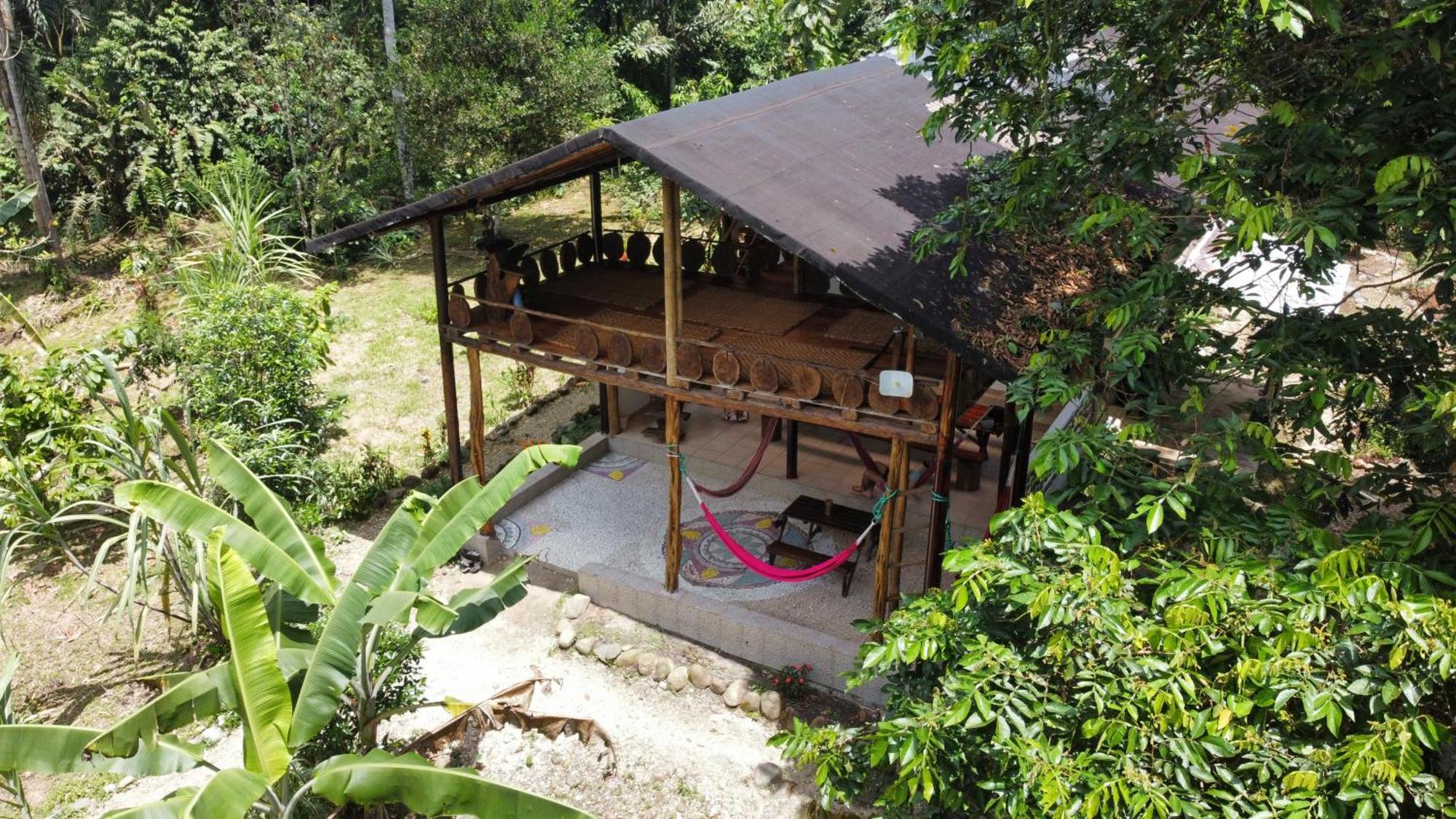 Wisdom Forest Lodge Тена Екстериор снимка