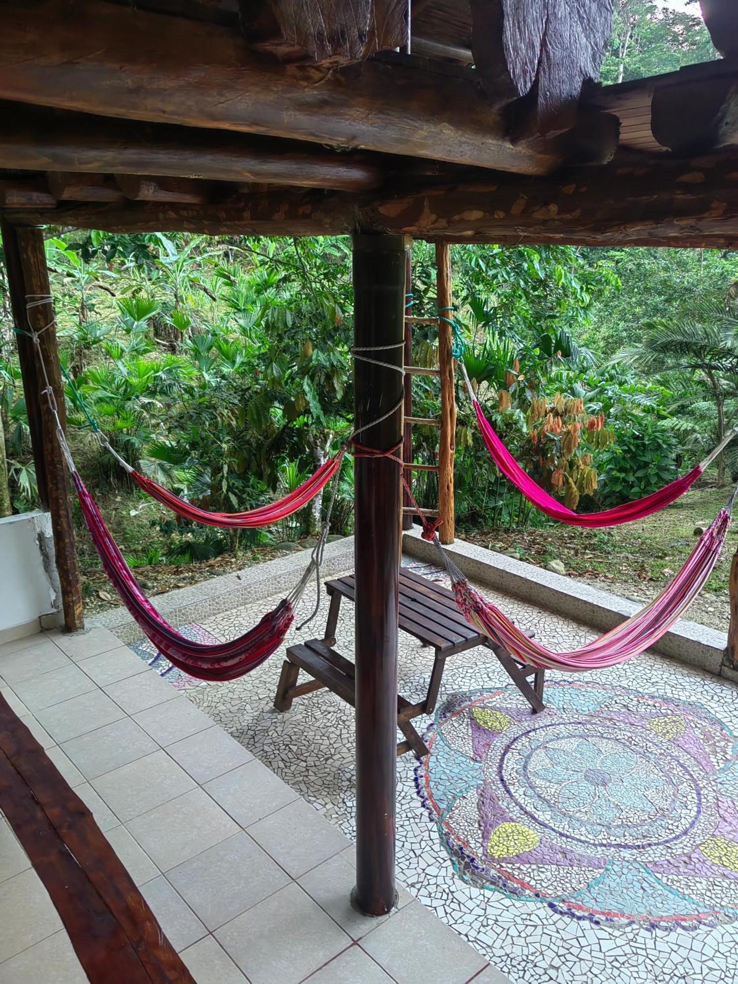 Wisdom Forest Lodge Тена Екстериор снимка